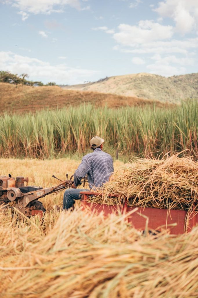 A farmer in a checkered shirt operates a harvester in a rustic wheat field with lush hills in the background.
